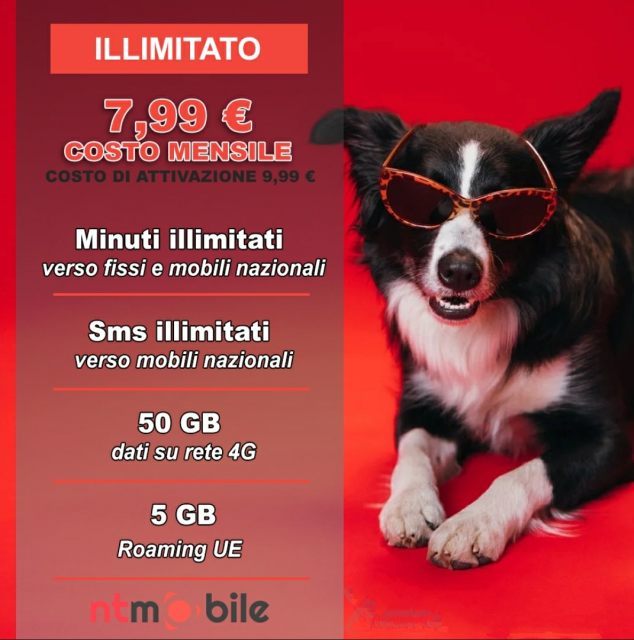 NTMOBILE