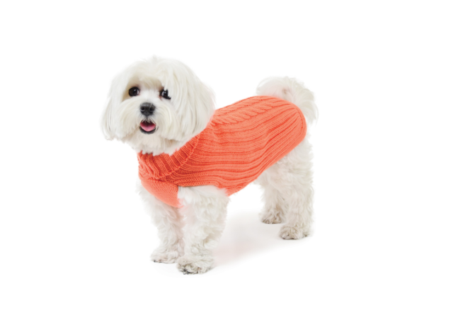 Maglioncino 303  arancio fluo