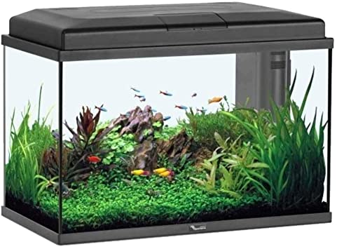 acquario aquastart 55 nero