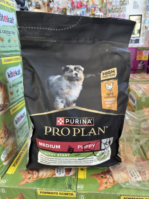 Fuori tutto Pro Plan cane puppy 3 kg