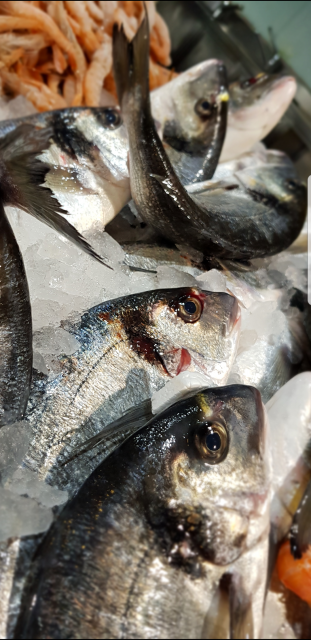 ORATA ALLEVAMENTO 1 KG